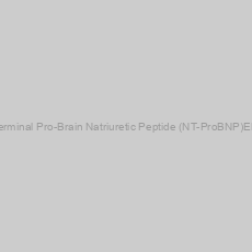 Image of for N-Terminal Pro-Brain Natriuretic Peptide (NT-ProBNP)ELISA kit